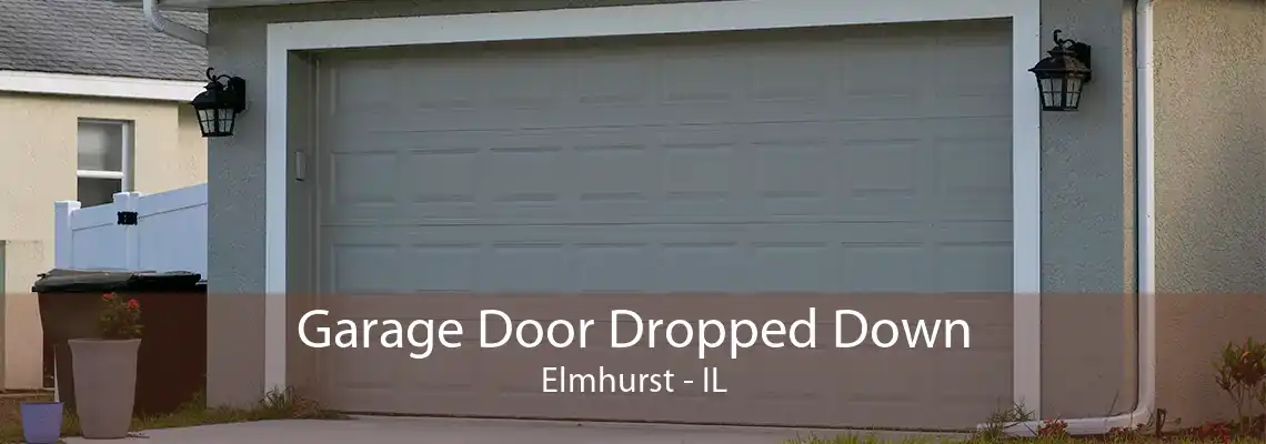 Garage Door Dropped Down Elmhurst - IL