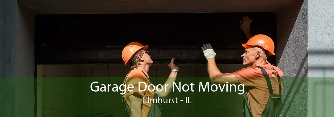 Garage Door Not Moving Elmhurst - IL