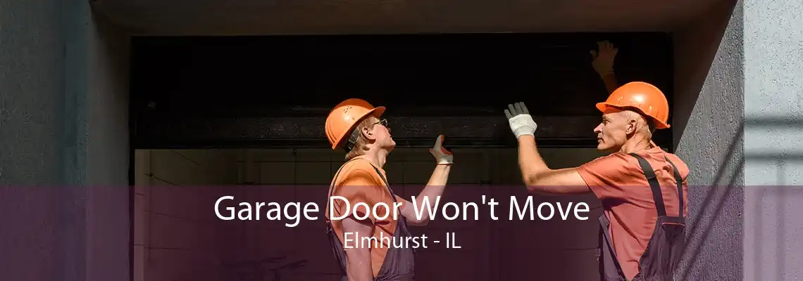 Garage Door Won't Move Elmhurst - IL